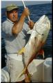 01_John_Jack_Crevalle