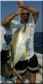 05_John_Jr_Jack_Crevalle