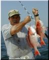 13_John_Double_Snapper