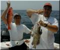 24_Casey-Grouper_Francis-Snapper