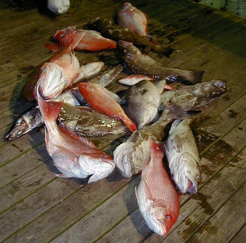catch_pile