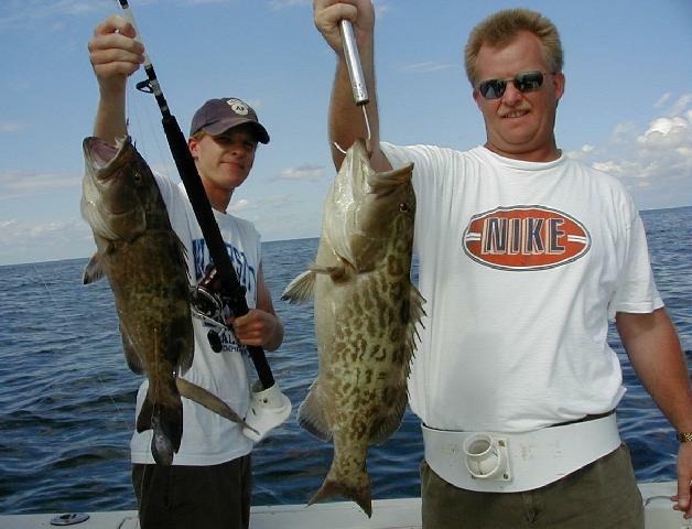 steffen_markus_groupers_sm