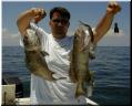 casey_grouper_double_lg