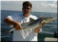 casey_shark