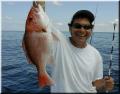 jerry_snapper