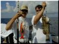 lothar_casey_vermilion_grouper