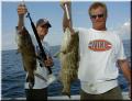 steffen_markus_groupers