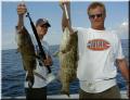 steffen_markus_groupers_sm