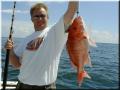 steffen_snapper