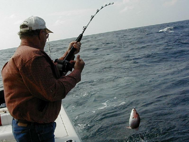 01_Ricky_Snapper