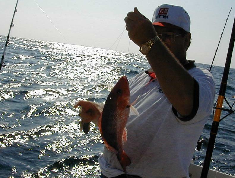 08_Aarron_Snapper