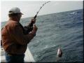 01_Ricky_Snapper