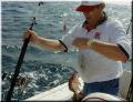 05_Aarron_Snapper