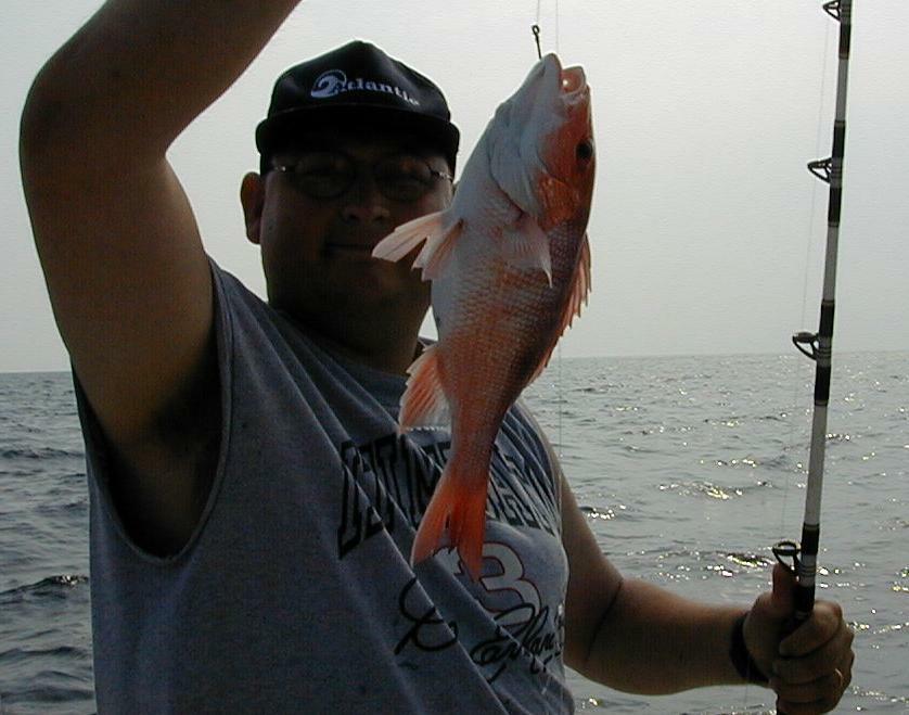 27_Donald_Snapper