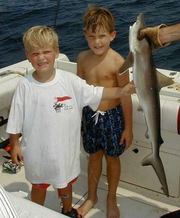 43_Ben_Paul_Shark