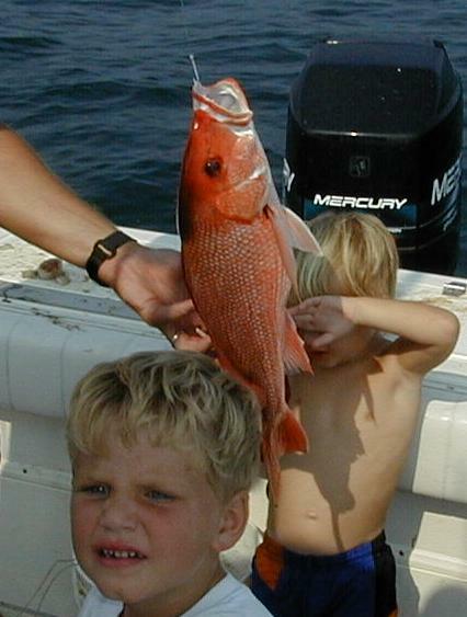 48_Luke_Paul_Snapper