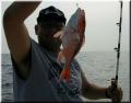 27_Donald_Snapper