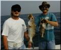 31_Jon_Quinn_Double_Grouper