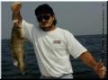 33_Quinn_Grouper