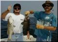 37_Quinn_Jon_Groupers