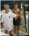 43_Ben_Paul_Shark