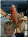 48_Luke_Paul_Snapper
