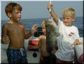 49_Boys_Grouper