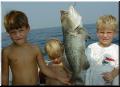 50_Boys_Grouper