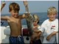 51_Boys_Grouper