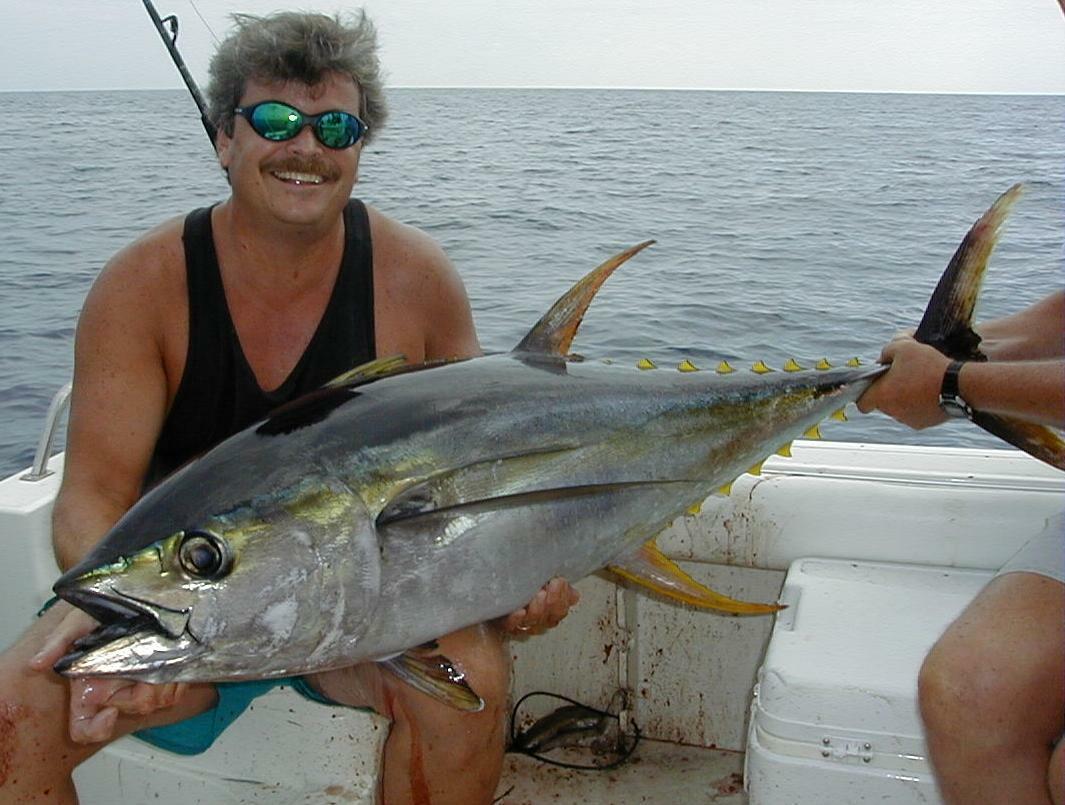 17_Mark&YellowFin