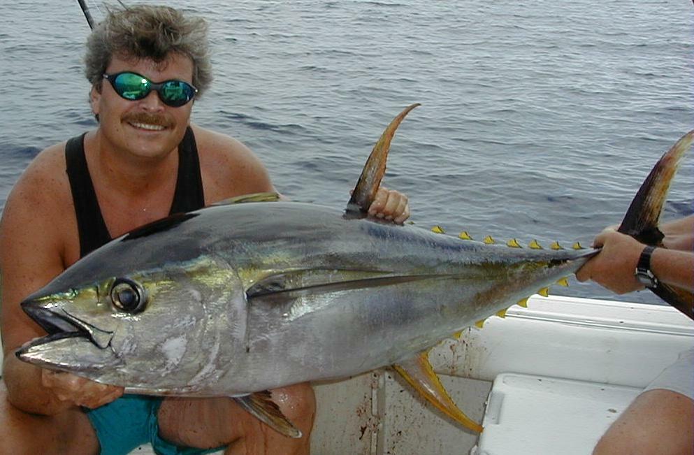 18_Mark&YellowFin