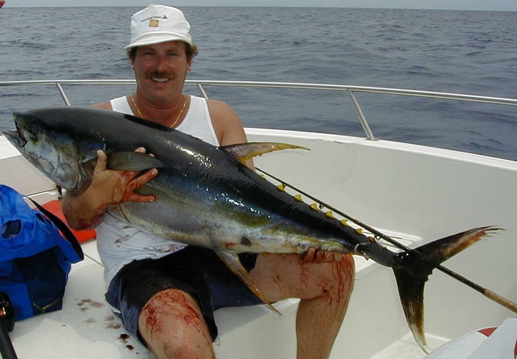 36_JKnight_YellowFin
