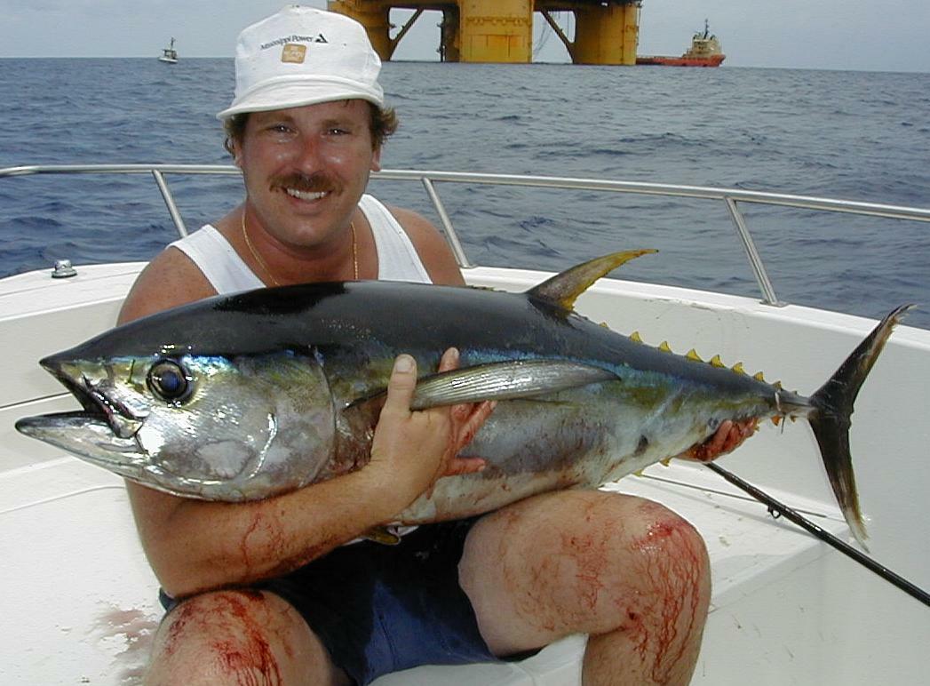 37_JKnight_YellowFin