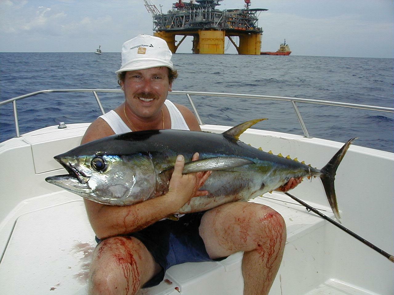 37_JKnight_YellowFin_raw