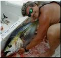 16_Mark&YellowFin