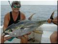 17_Mark&YellowFin