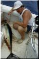 33_YellowFin_Boated