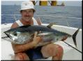 37_JKnight_YellowFin