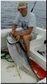 42_Walde_YellowFin