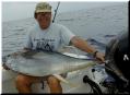 43_Walde_YellowFin