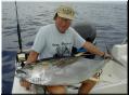 44_Walde_YellowFin
