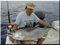 44_Walde_YellowFin_sm