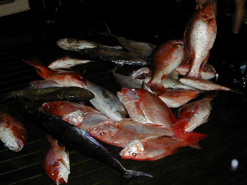 Catch_pile