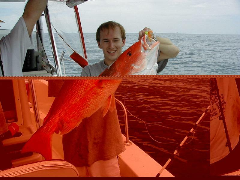 mark_Snapper2_pic_damaged