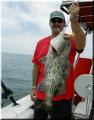Jay_Grouper2b