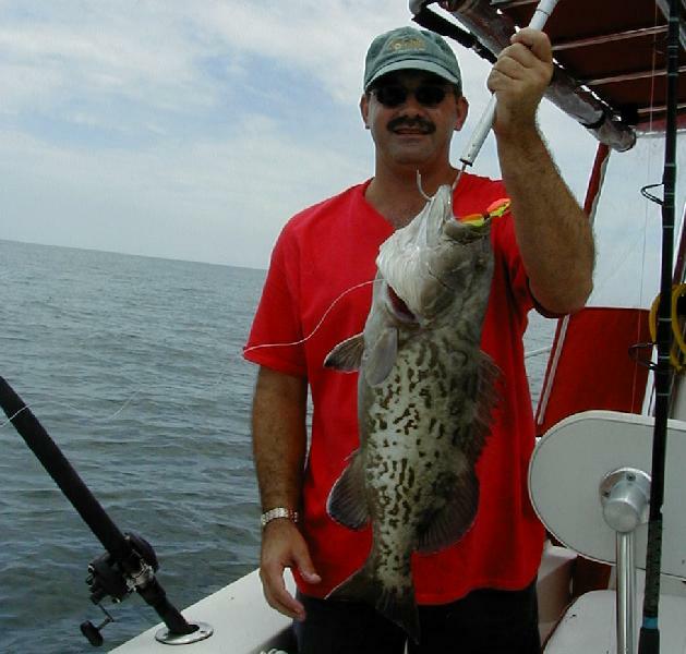 Jay_Grouper