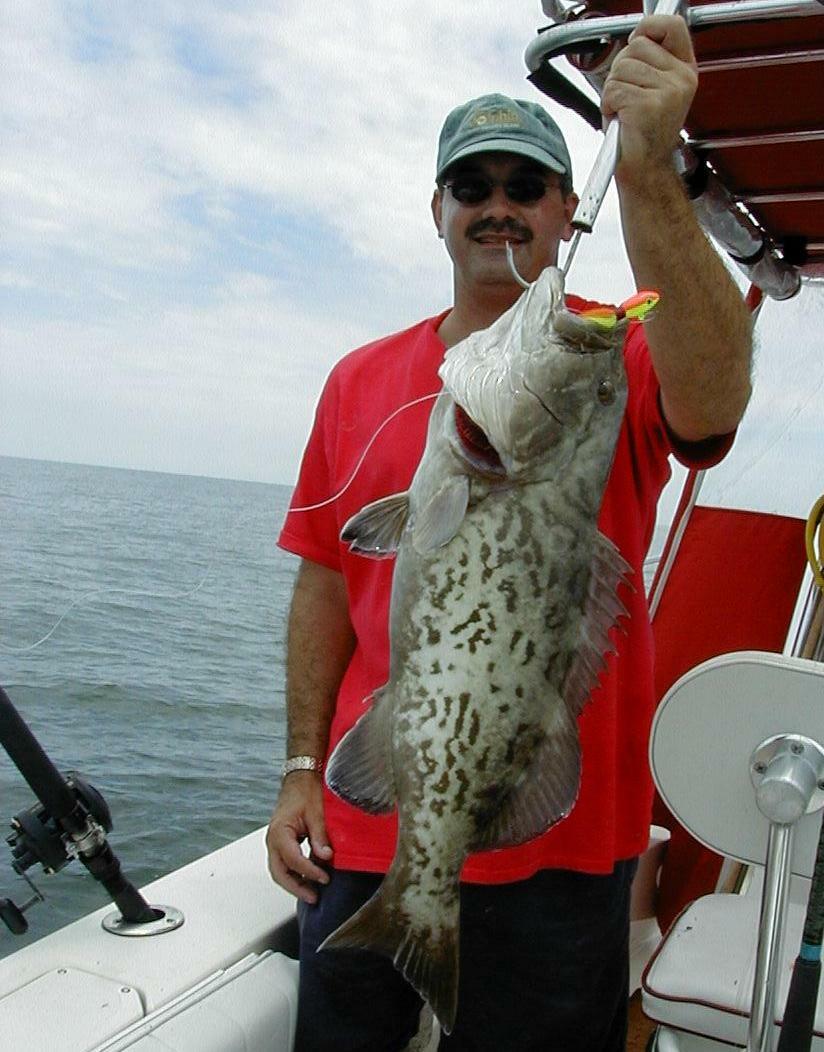 Jay_Grouper2b