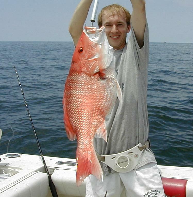 mark_Snapper3