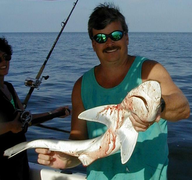 shark_little_