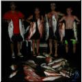 Catch_Group1